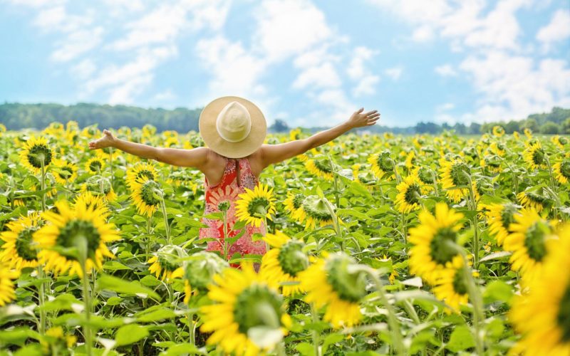 Wie Du Stress in Gelassenheit verändern kannst